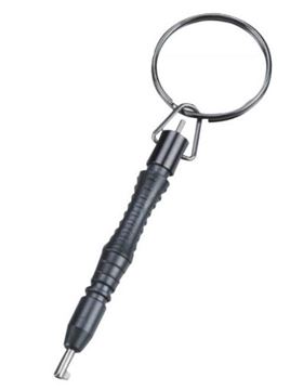 Picture of HANDCUFF KEY